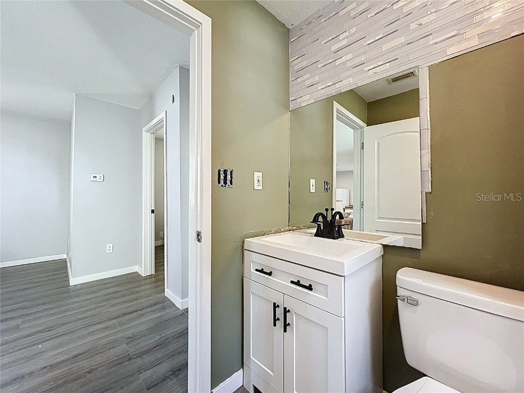 3618 Cilia Street Mount Dora FL 32757 O6344135 image19