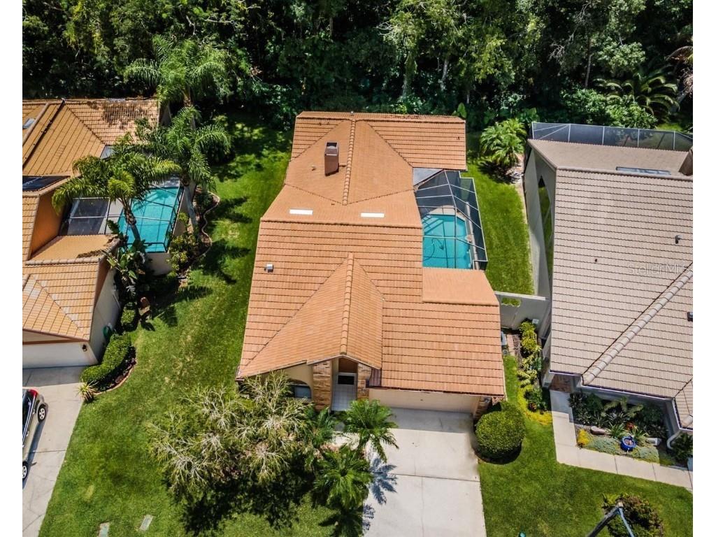 3618 Darston Street Palm Harbor FL 34685 W7855656 image1