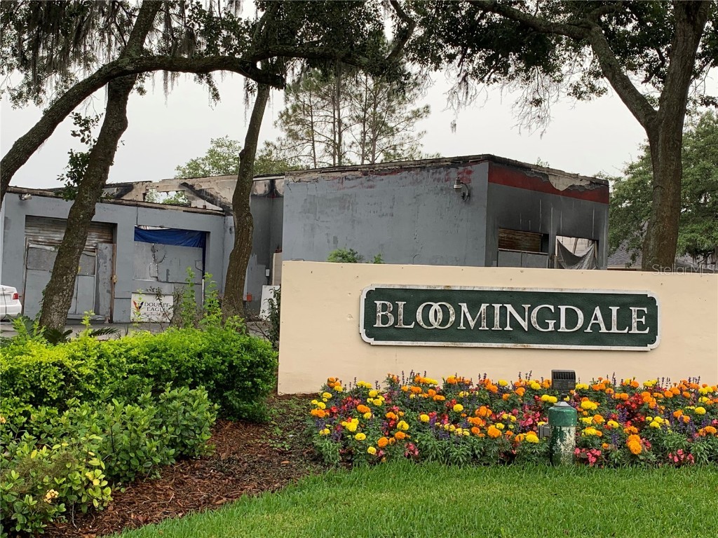 3618 Lithia Pinecrest Road Valrico FL 33596 T3442928 image1