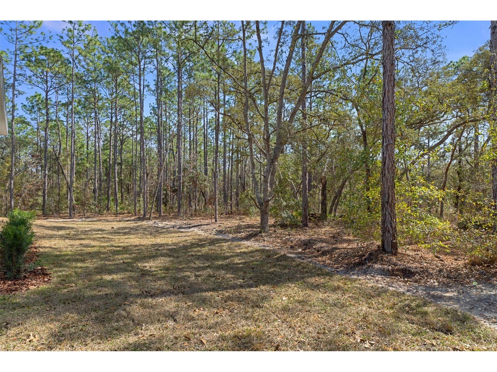 3618 W Birds Nest Drive Beverly Hills FL 34465 W7879644 image49