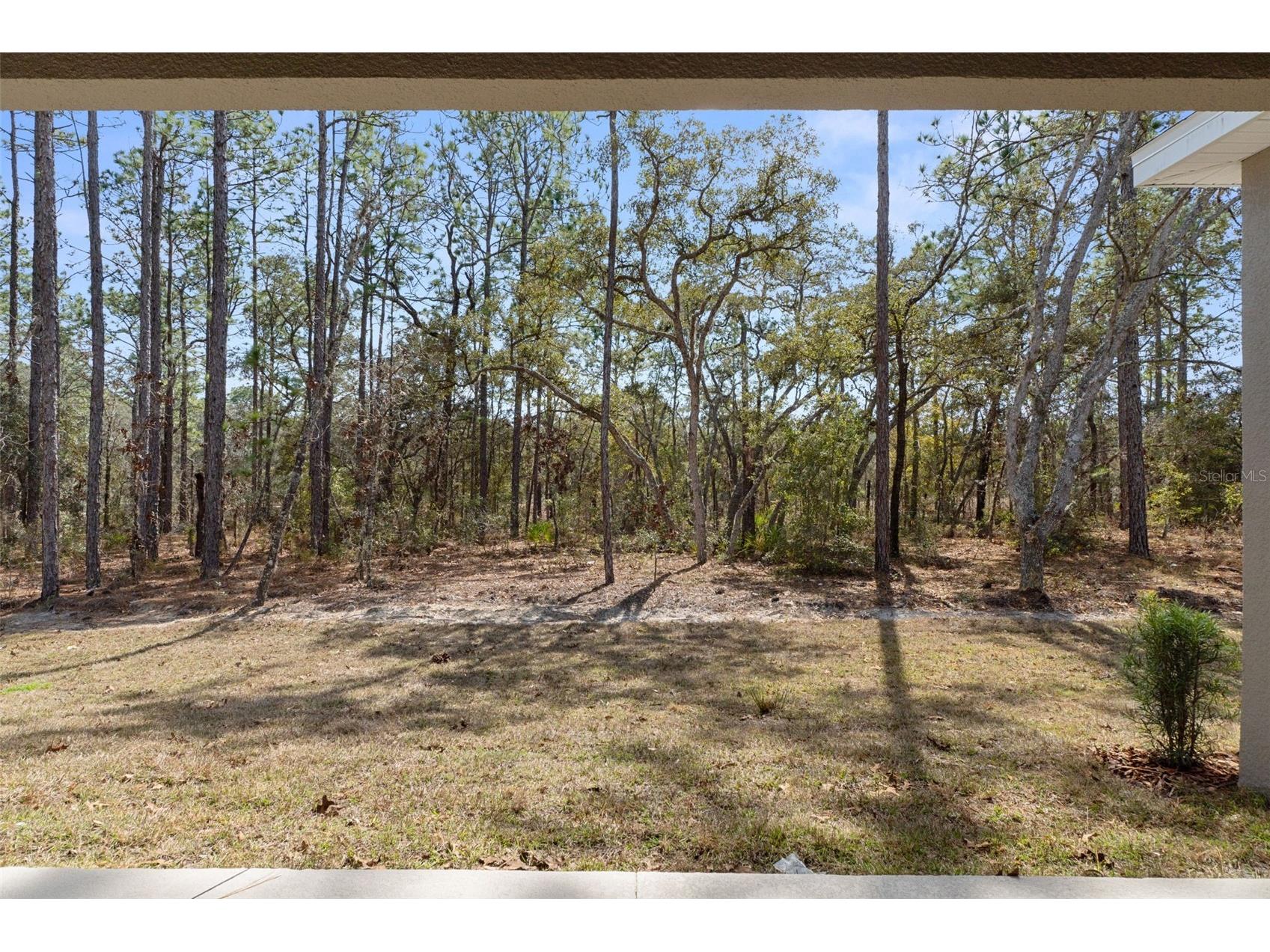 3618 W Birds Nest Drive Beverly Hills FL 34465 W7879644 image53