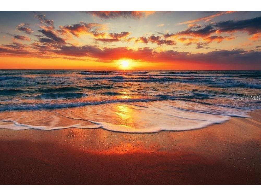 3619 36th Avenue Drive W #3619 Bradenton FL 34205 A4663167 image57