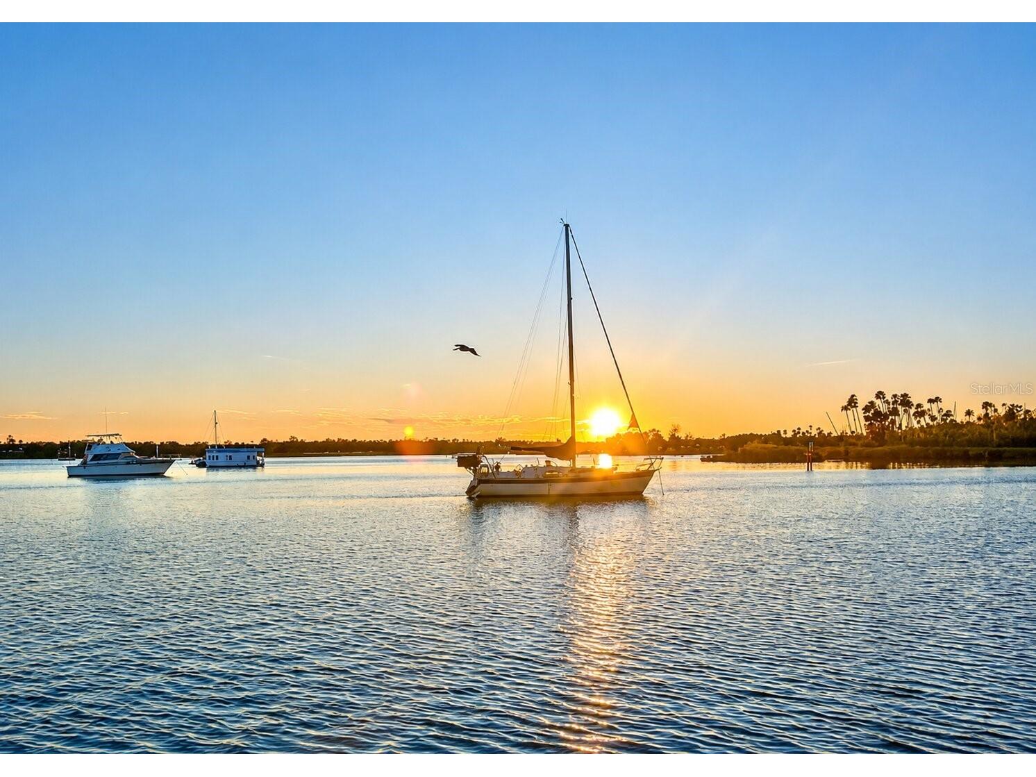 3619 N Suwannee Point Crystal River FL 34428 OM728967 image35
