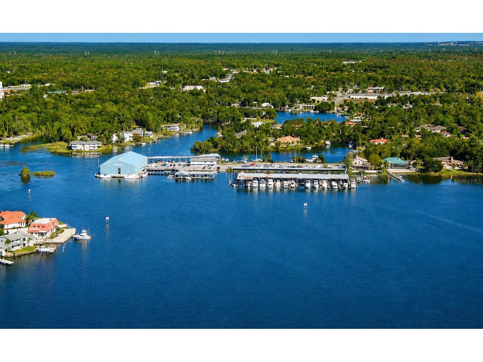 3619 N Suwannee Point Crystal River FL 34428 OM728967 image36