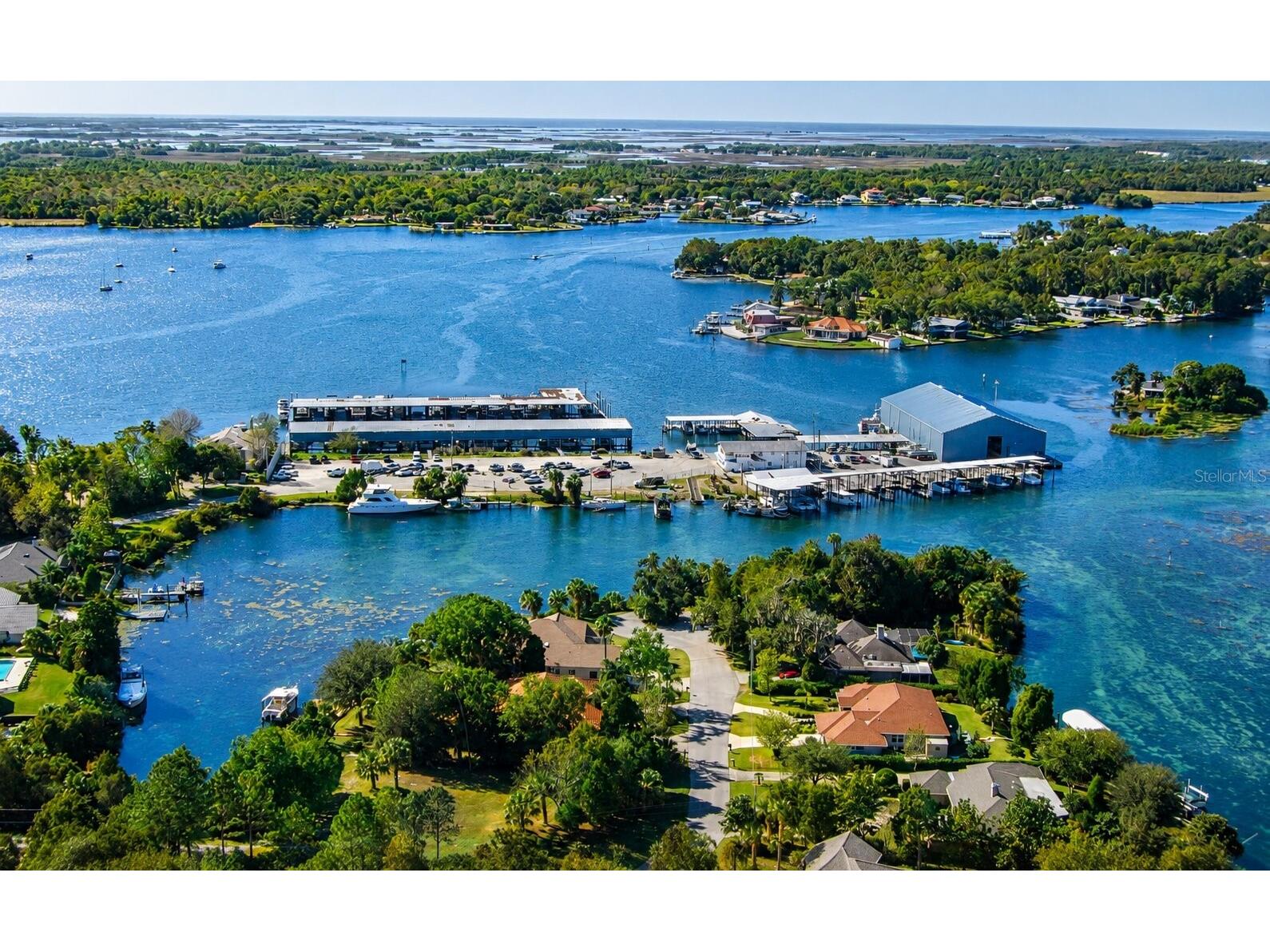 3619 N Suwannee Point Crystal River FL 34428 OM728967 image37