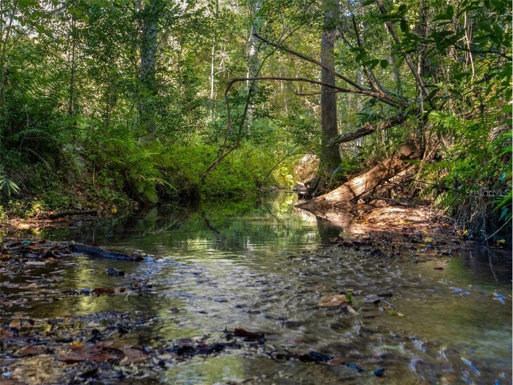 3619 NW 38th Street Gainesville FL 32606 GC535221 image34