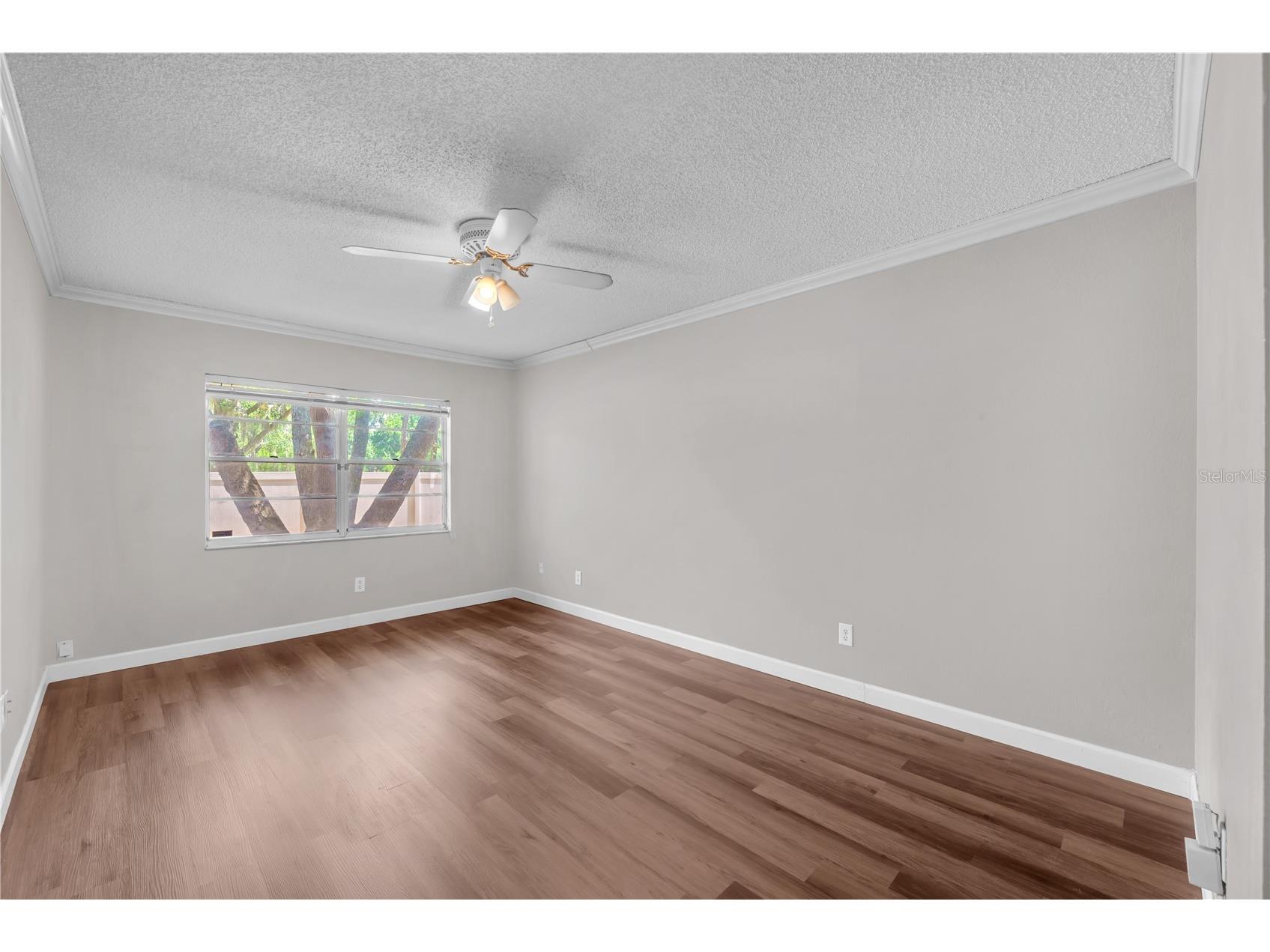 3619 Orangepointe Road Valrico FL 33596 TB8507403 image13