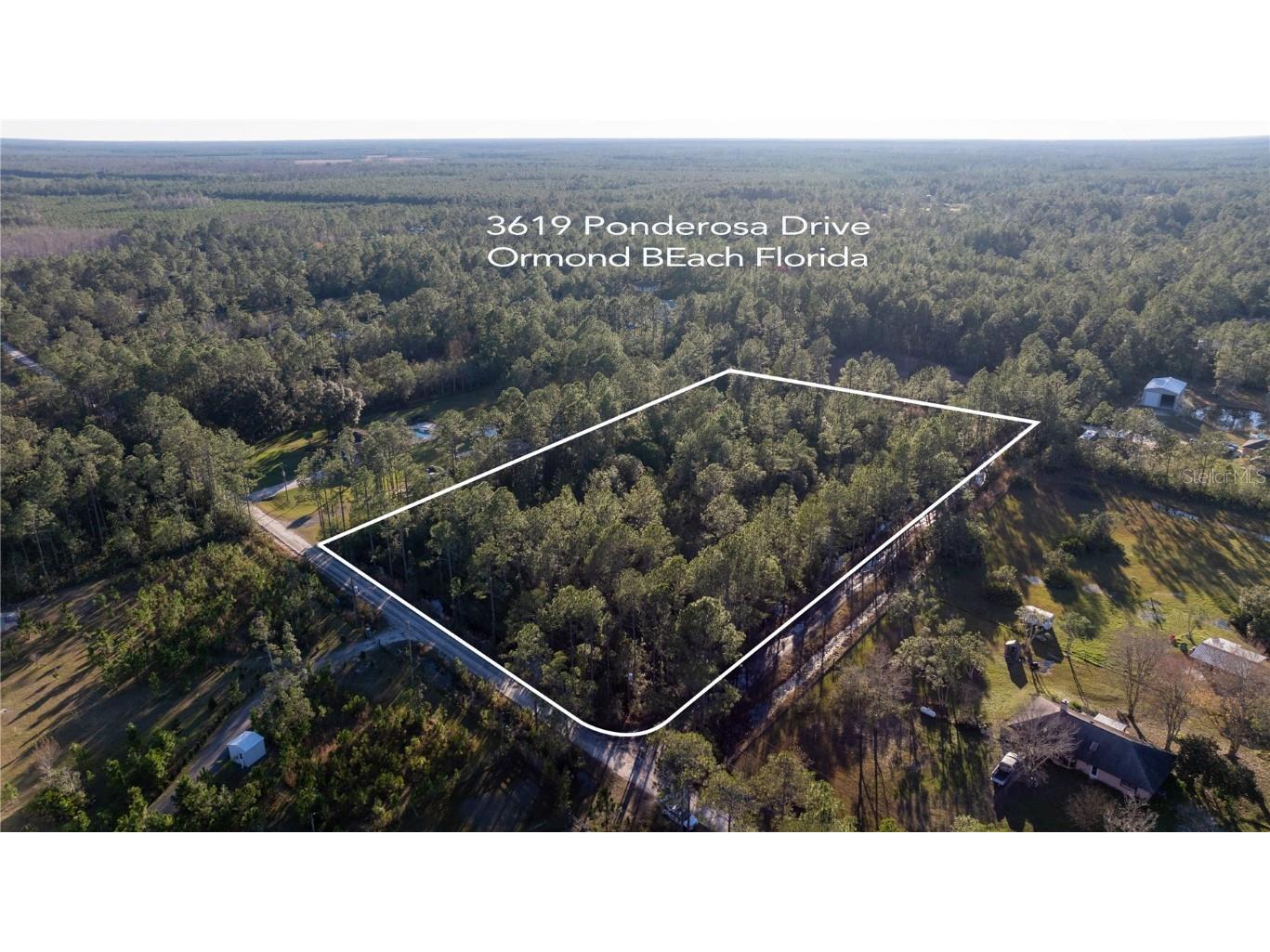 3619 Ponderosa Drive Ormond Beach FL 32174 NS1080349 image1