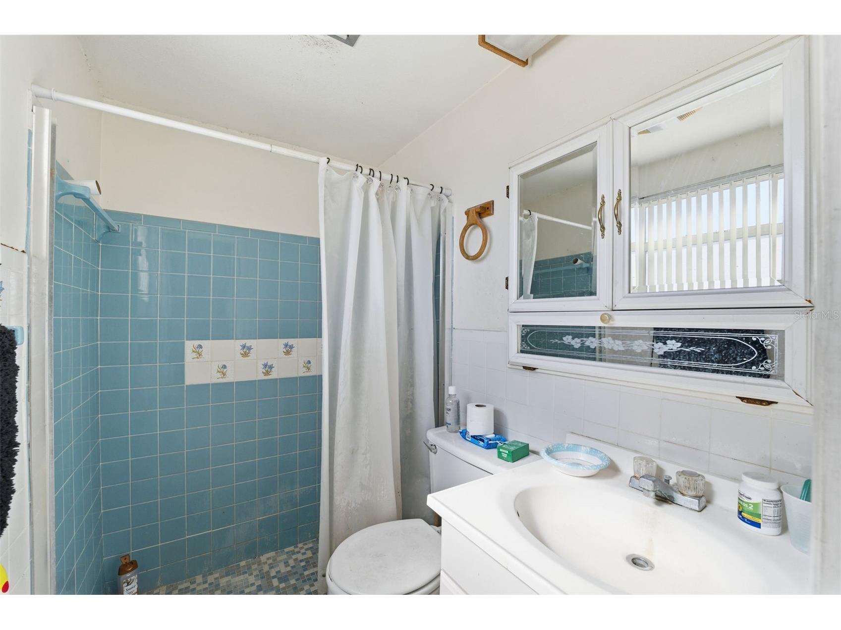 3619 Springfield Drive Holiday FL 34691 W7882795 image16