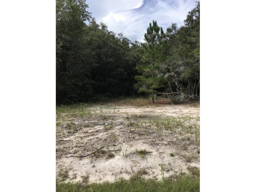 362 Amberjack Court Poinciana FL 34759 O6040925 image1