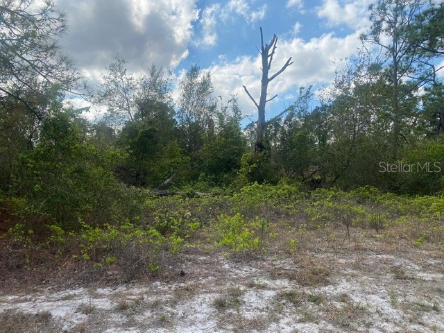 362 Concert Drive Lake Placid FL 33852 S5109019 image1