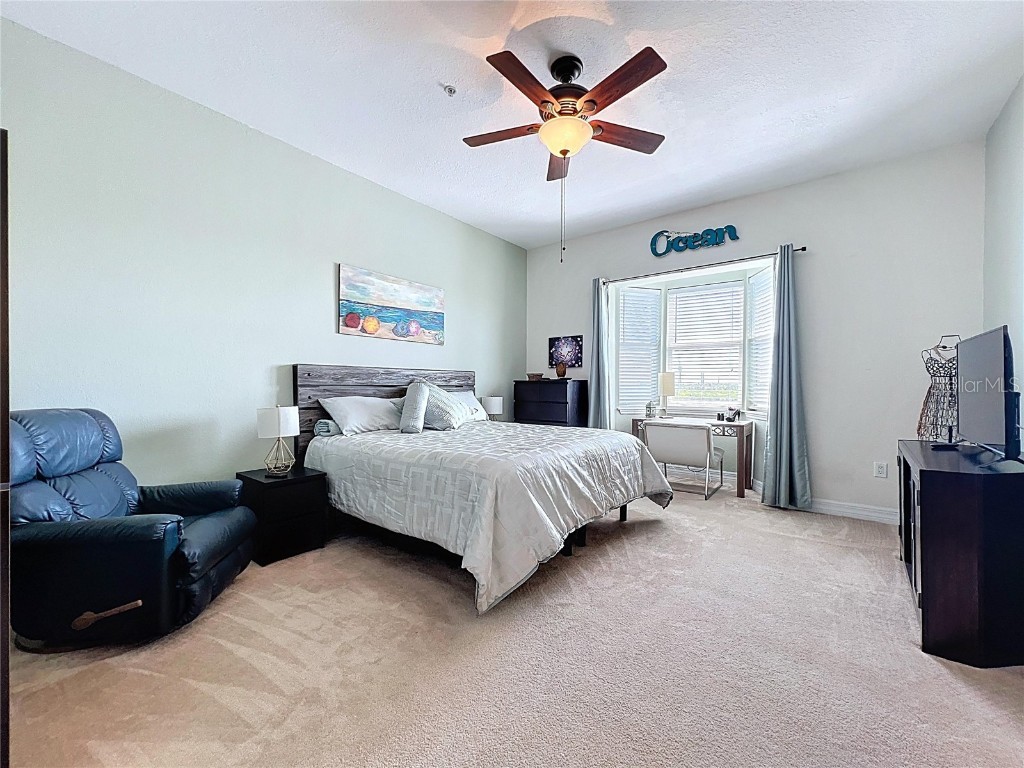 362 Coquina Drive Tarpon Springs FL 34689 - ANCLOTE RIVER GULF OF MEXICO TB8368307 image27