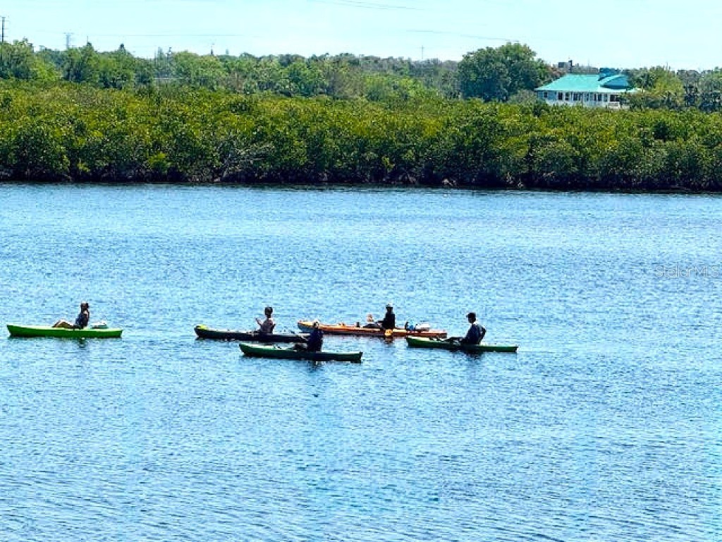 362 Coquina Drive Tarpon Springs FL 34689 - ANCLOTE RIVER GULF OF MEXICO TB8368307 image51