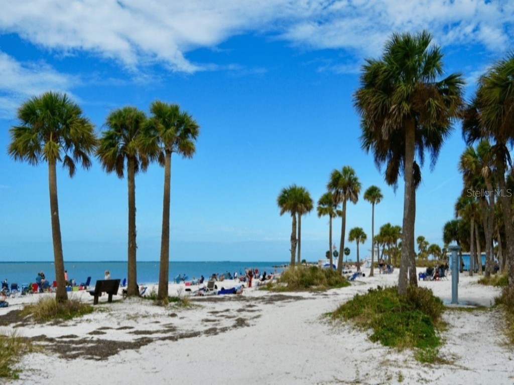 362 Coquina Drive Tarpon Springs FL 34689 - ANCLOTE RIVER GULF OF MEXICO TB8368307 image66