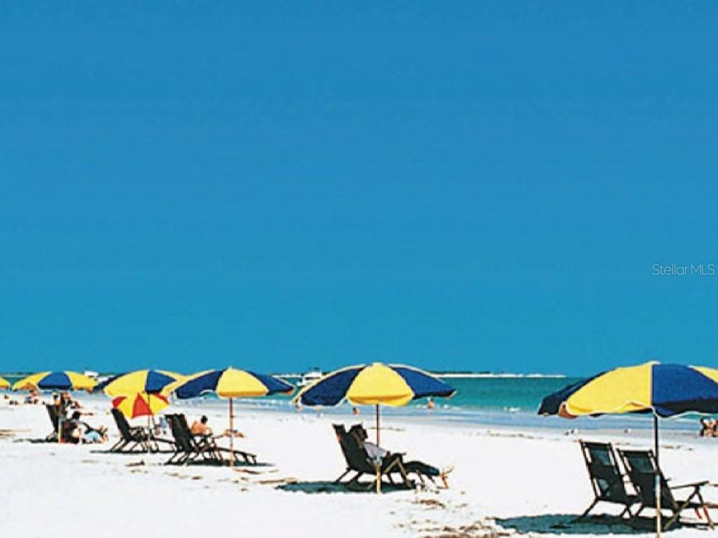 362 Coquina Drive Tarpon Springs FL 34689 - ANCLOTE RIVER GULF OF MEXICO TB8368307 image67