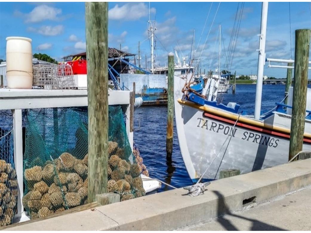 362 Coquina Drive Tarpon Springs FL 34689 - ANCLOTE RIVER GULF OF MEXICO TB8368307 image68