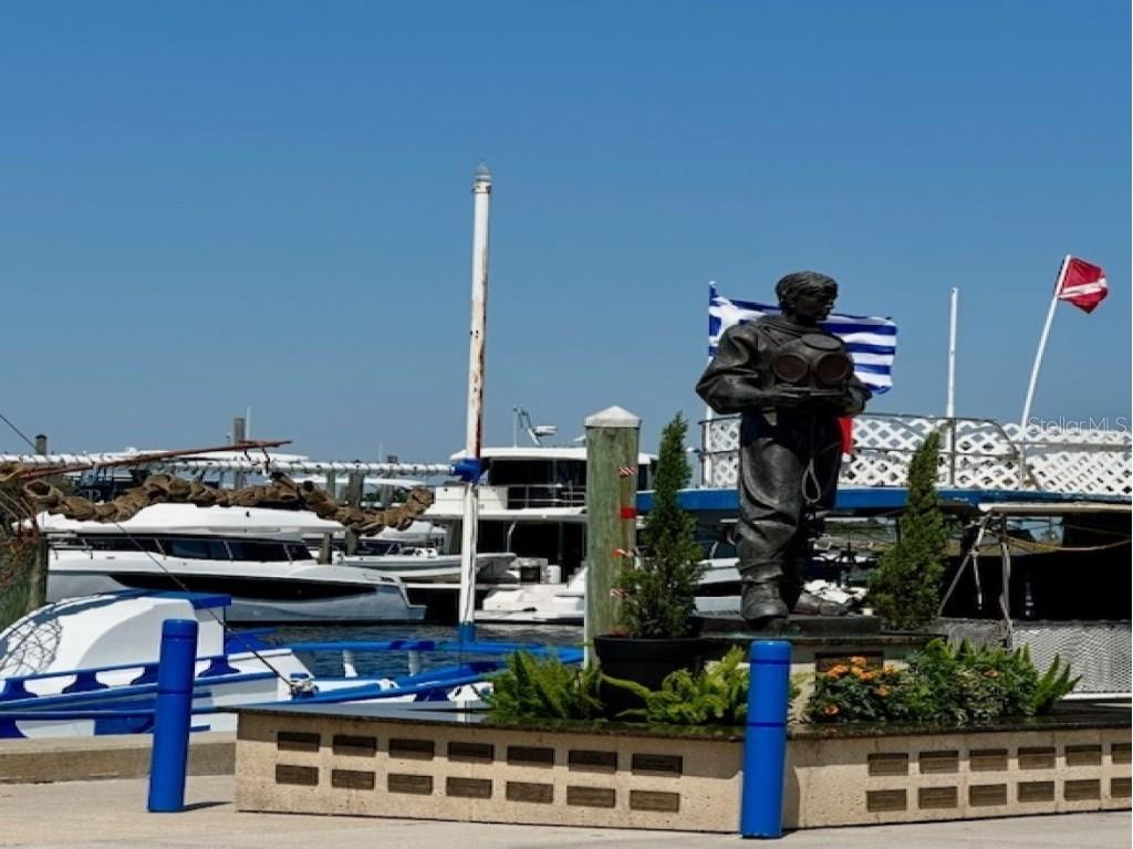 362 Coquina Drive Tarpon Springs FL 34689 - ANCLOTE RIVER GULF OF MEXICO TB8368307 image69