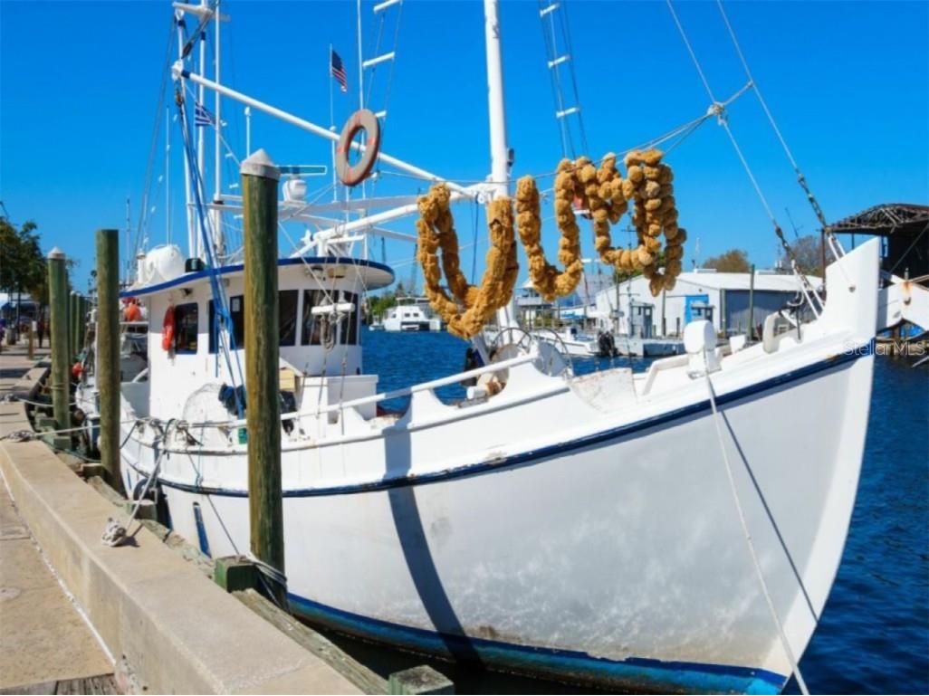 362 Coquina Drive Tarpon Springs FL 34689 - ANCLOTE RIVER GULF OF MEXICO TB8368307 image70