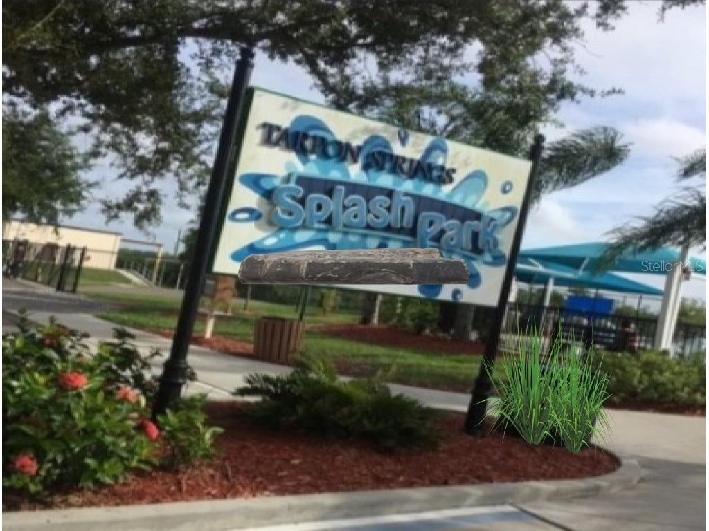 362 Coquina Drive Tarpon Springs FL 34689 - ANCLOTE RIVER GULF OF MEXICO TB8368307 image72