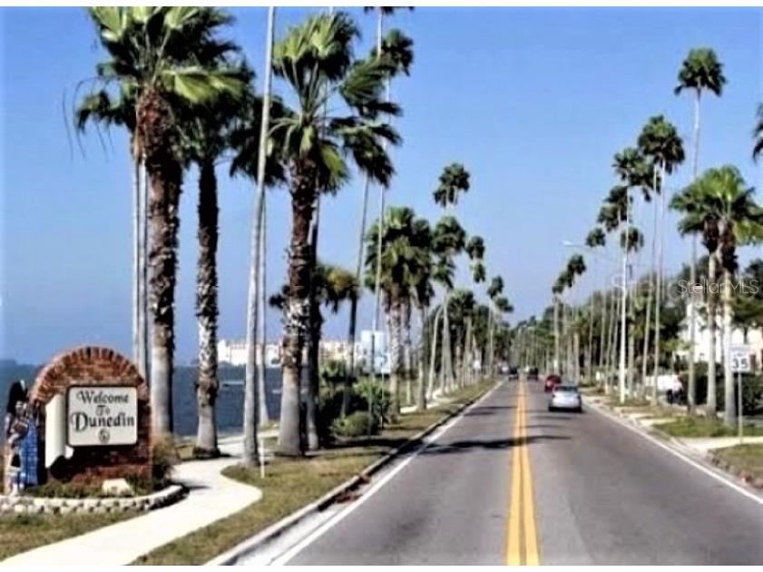 362 Coquina Drive Tarpon Springs FL 34689 - ANCLOTE RIVER GULF OF MEXICO TB8368307 image82