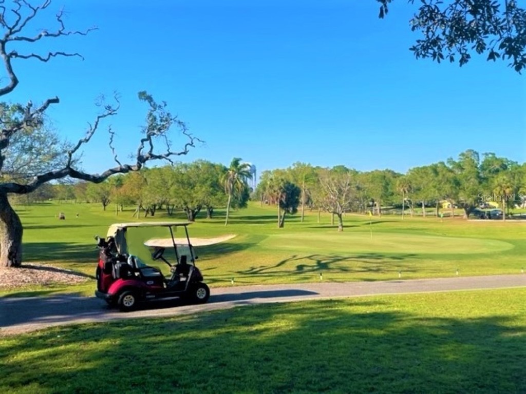 362 Coquina Drive Tarpon Springs FL 34689 - ANCLOTE RIVER GULF OF MEXICO TB8368307 image83