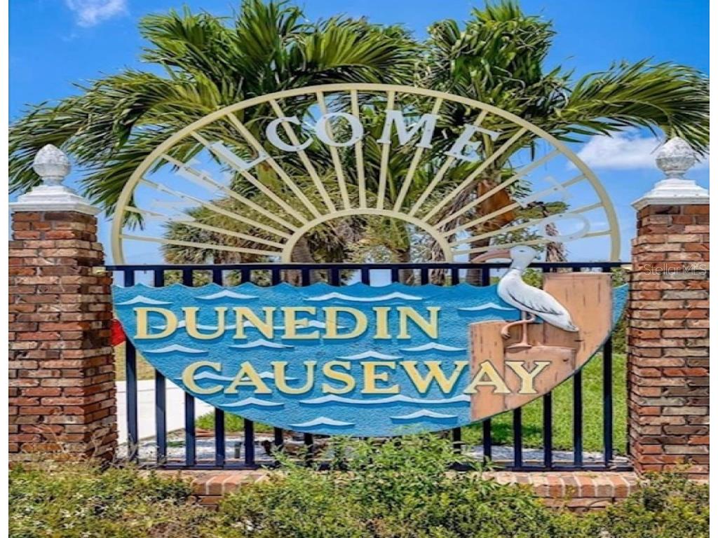 362 Coquina Drive Tarpon Springs FL 34689 - ANCLOTE RIVER GULF OF MEXICO TB8368307 image84