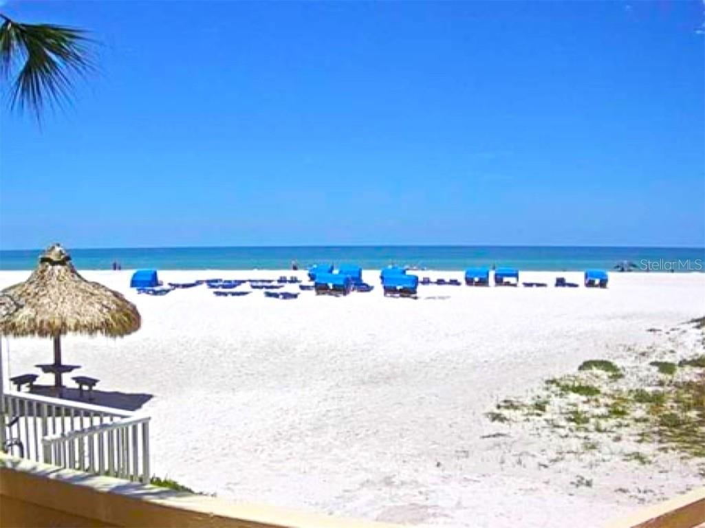 362 Coquina Drive Tarpon Springs FL 34689 - ANCLOTE RIVER GULF OF MEXICO TB8368307 image86