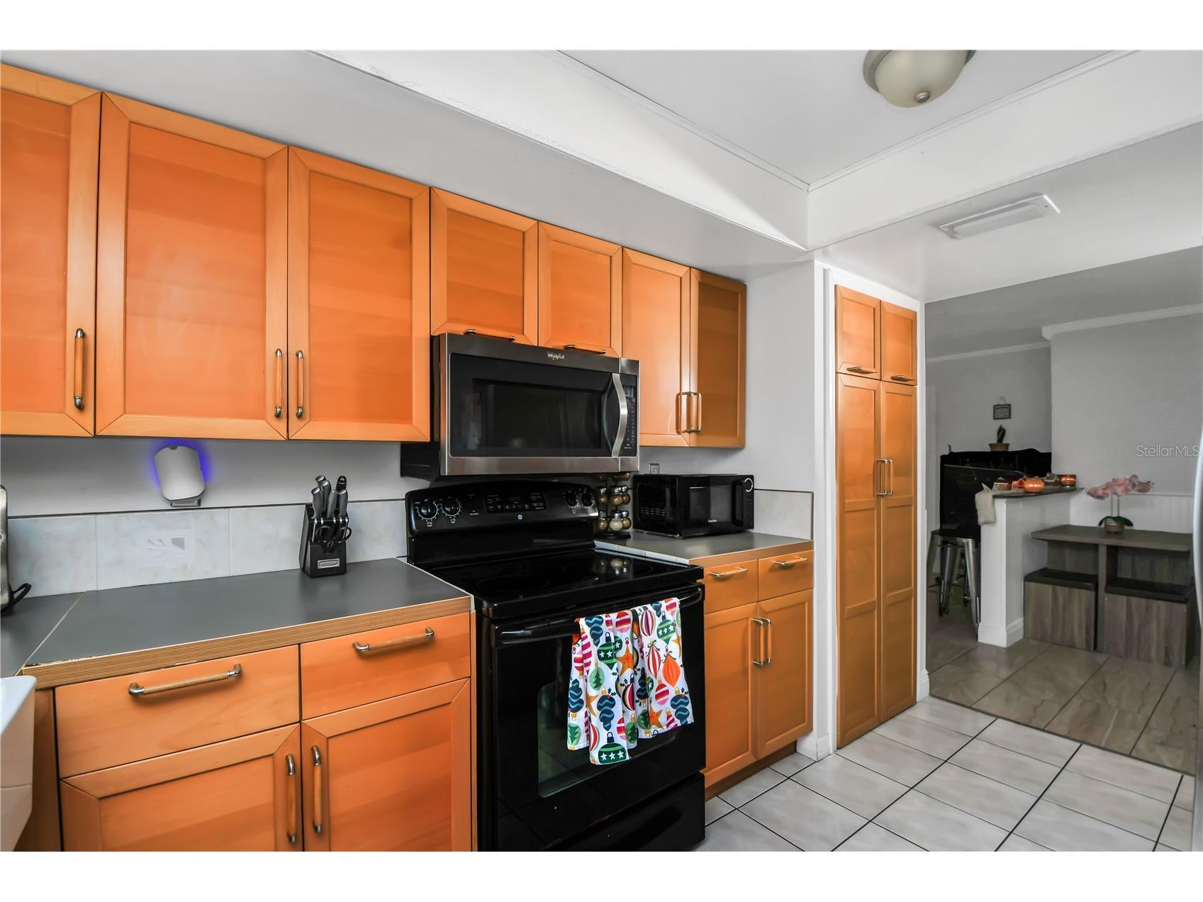 362 Iowa Woods Circle W Orlando FL 32824 O6384619 image10