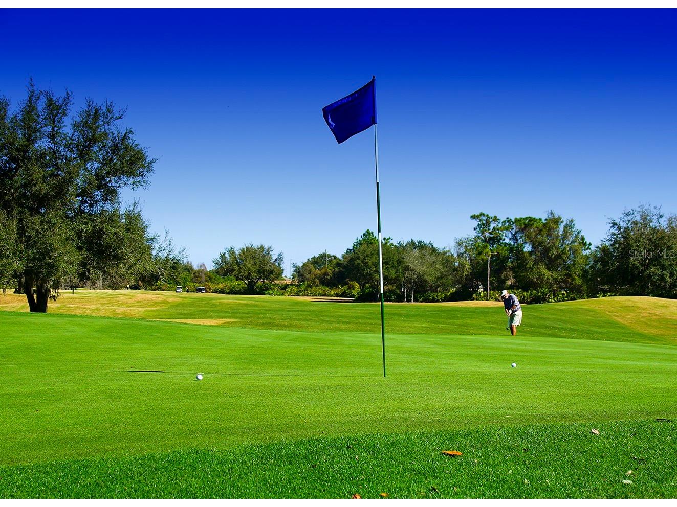 362 Via Torrente Drive Kissimmee FL 34759 S5143622 image59