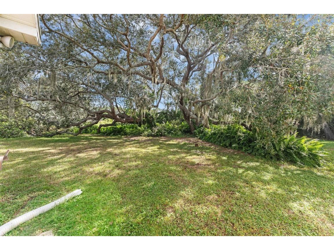 3620 Belle Arbor Circle Titusville FL 32780 O6346449 image20