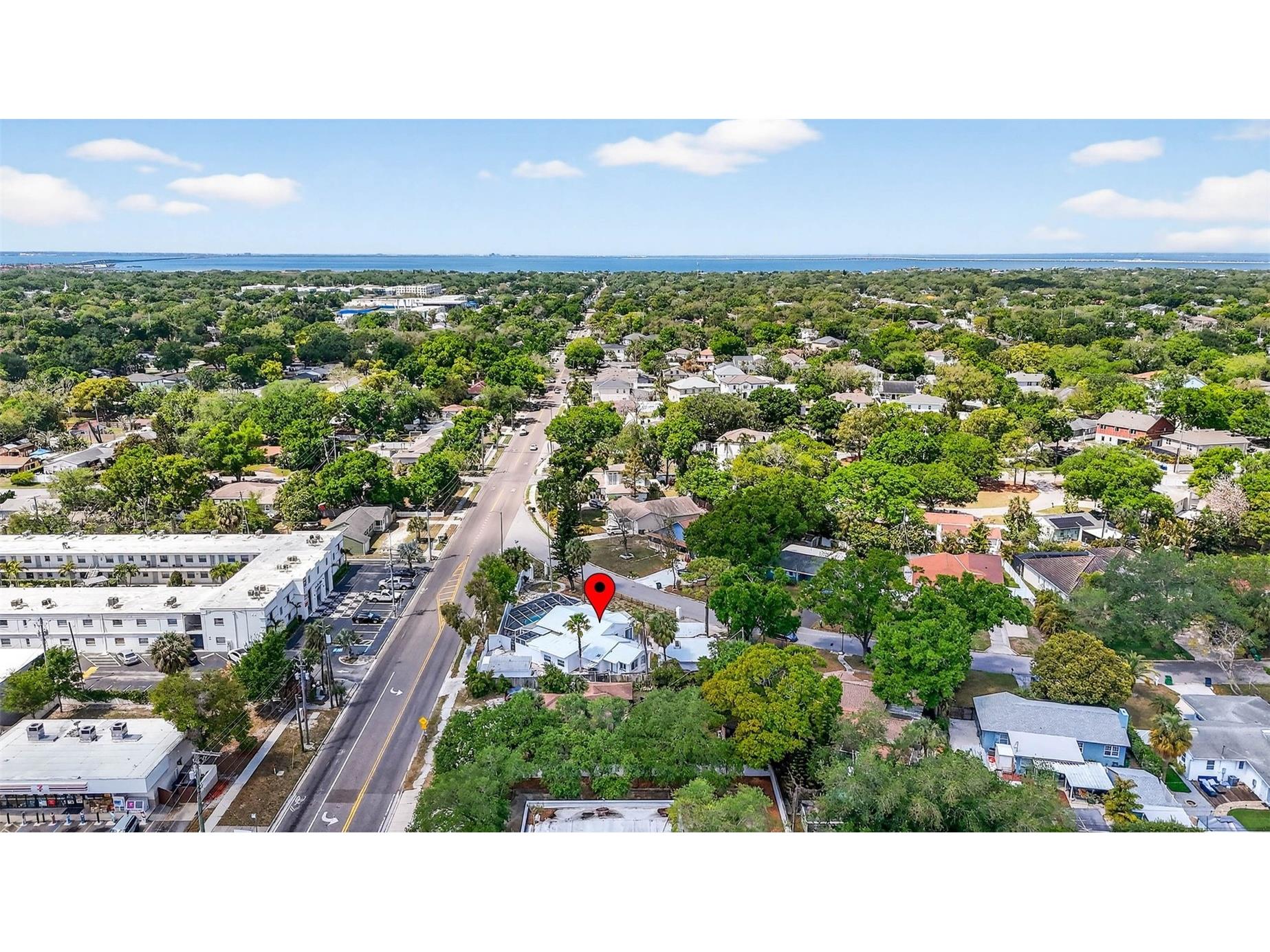 3620 E Tampa Circle Tampa FL 33629 O6395449 image64