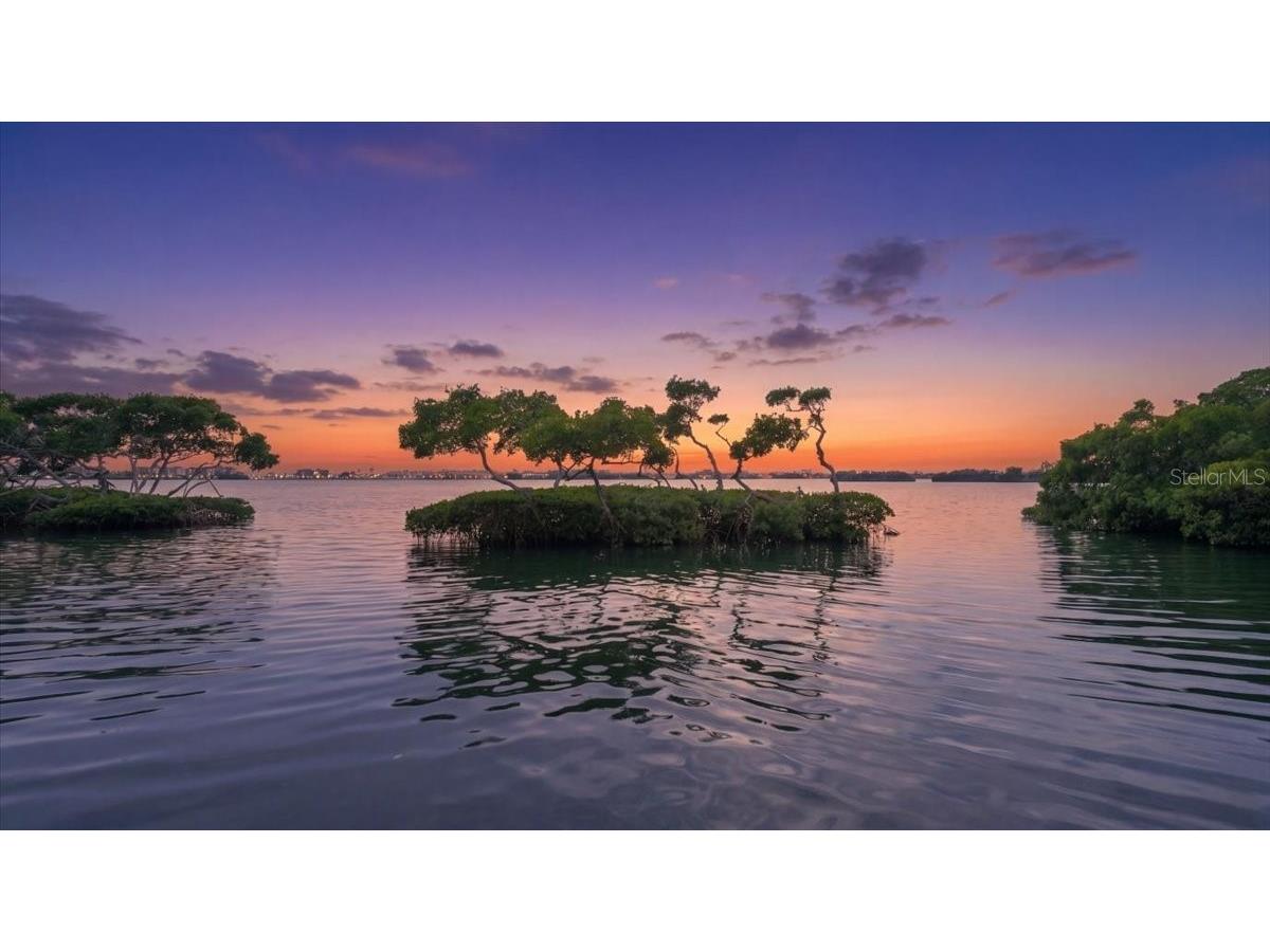 3620 Fair Oaks Place Longboat Key FL 34228 - BUTTONWOOD HARBOR SARASOTA BAY A4693553 image37
