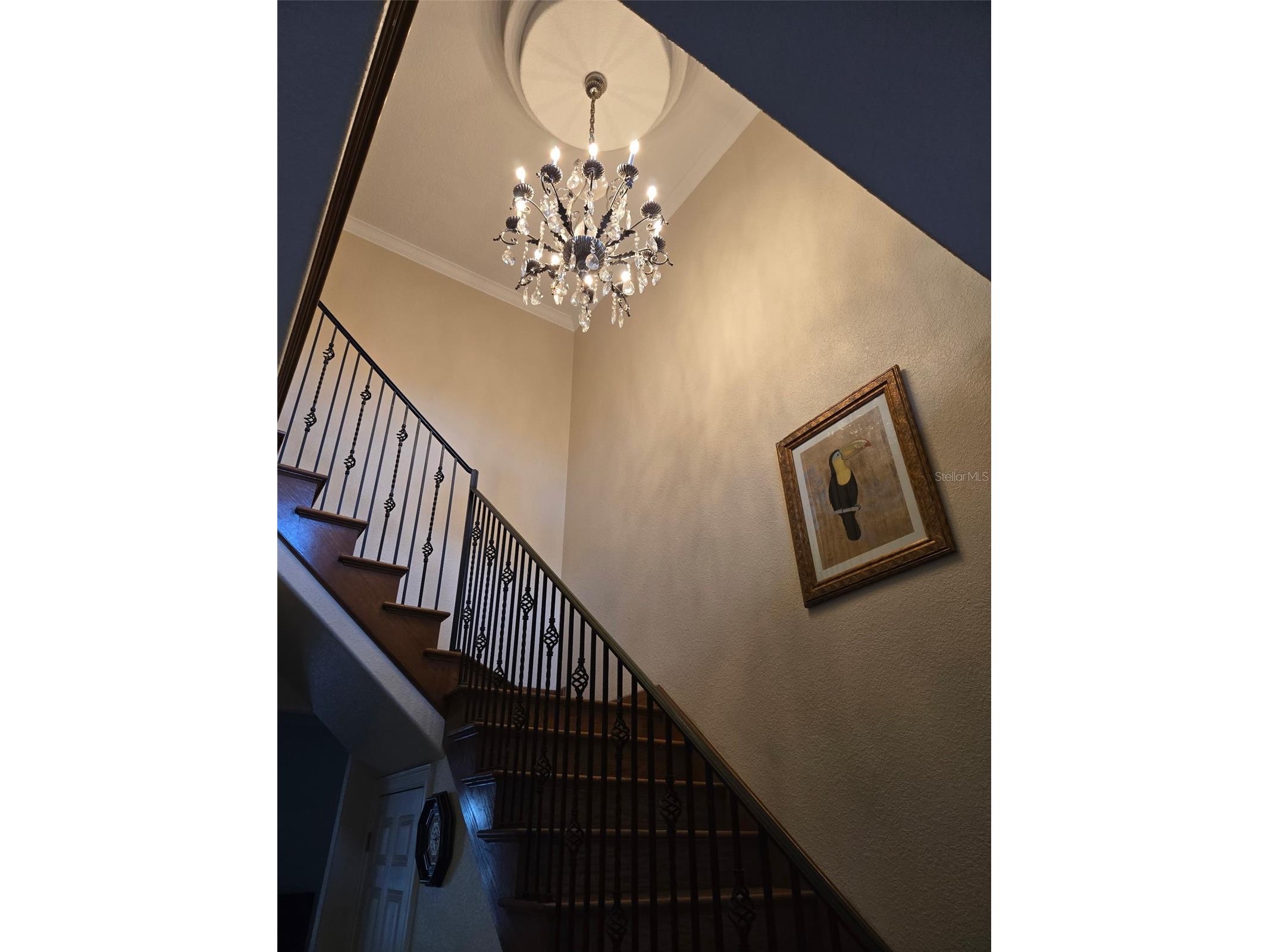 3620 Leota Drive Apopka FL 32703 S5144959 image6