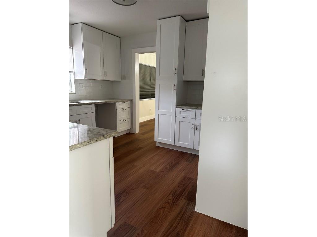 3620 S Beach Drive Tampa FL 33629 TB8437801 image9