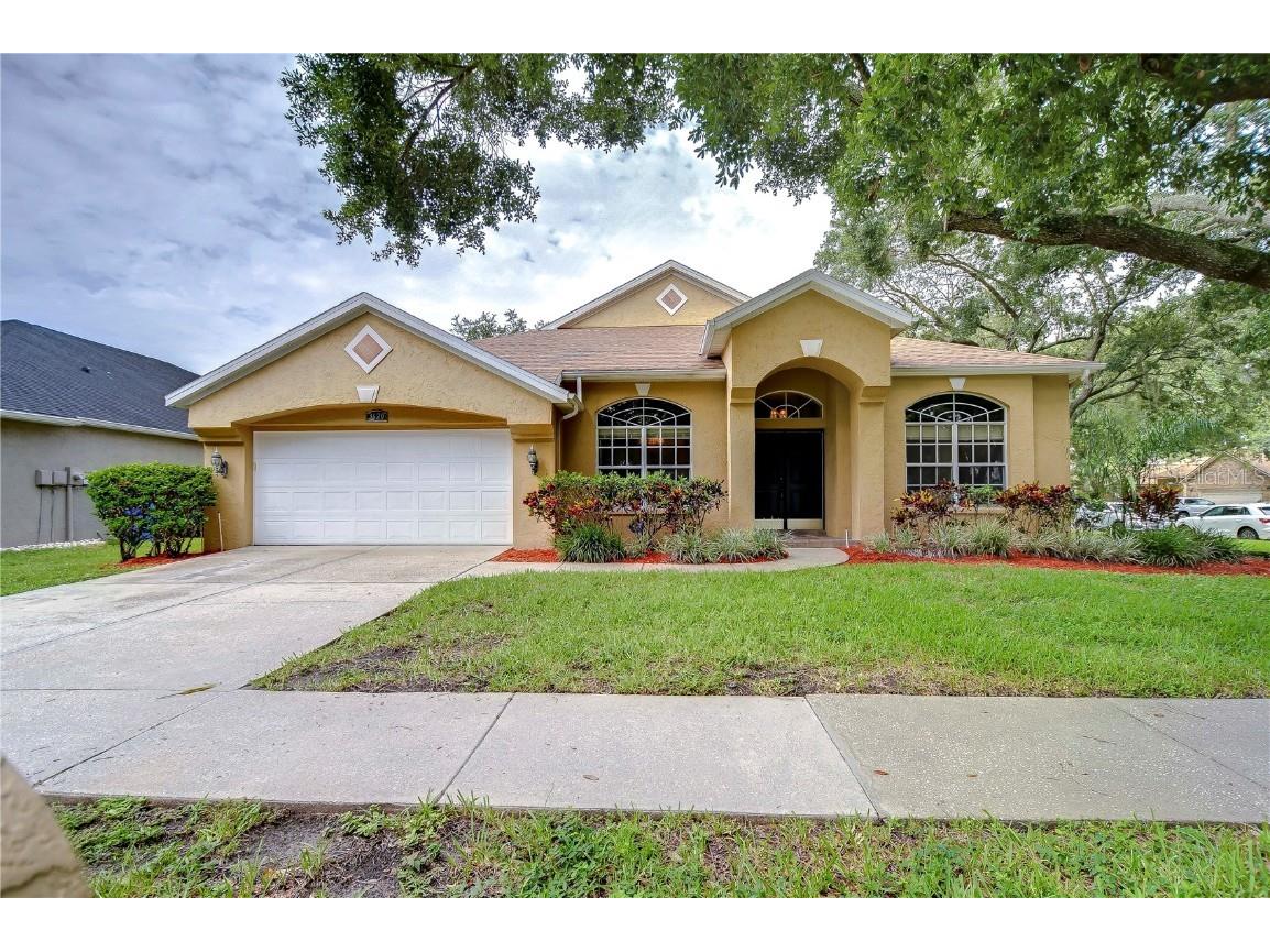 3620 Springville Drive Valrico FL 33596 T3539971 image1