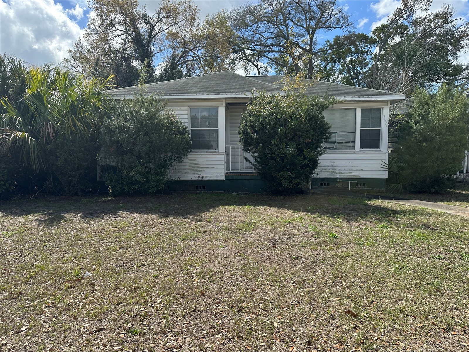 3620 W Azeele Street Tampa FL 33609 TB8483171 image2