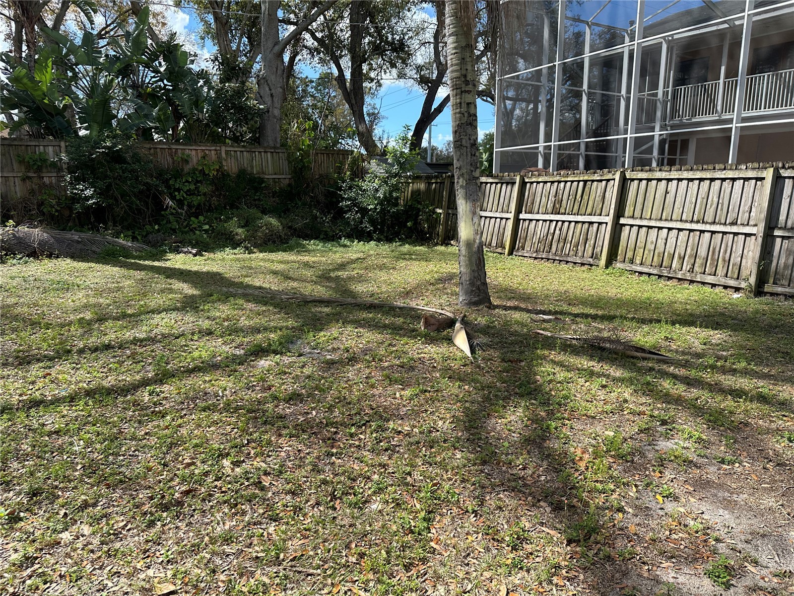 3620 W Azeele Street Tampa FL 33609 TB8483172 image5