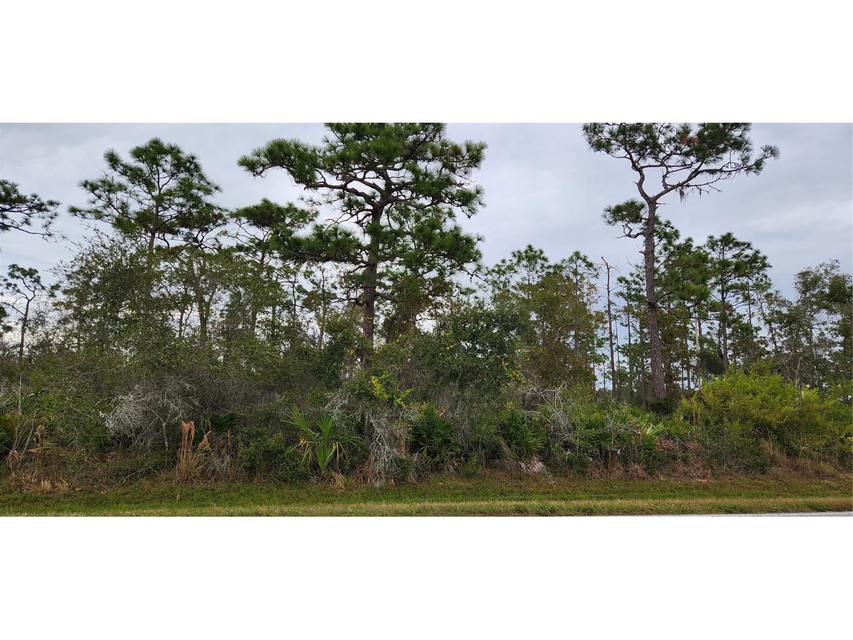 36201 Washington Loop Road Punta Gorda FL 33982 - Shell Creek C7484922 image1