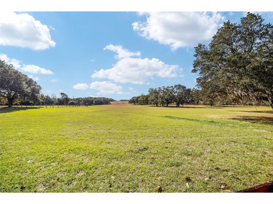 36203 Micro Racetrack Road Fruitland Park FL 34731 OM713402 image28