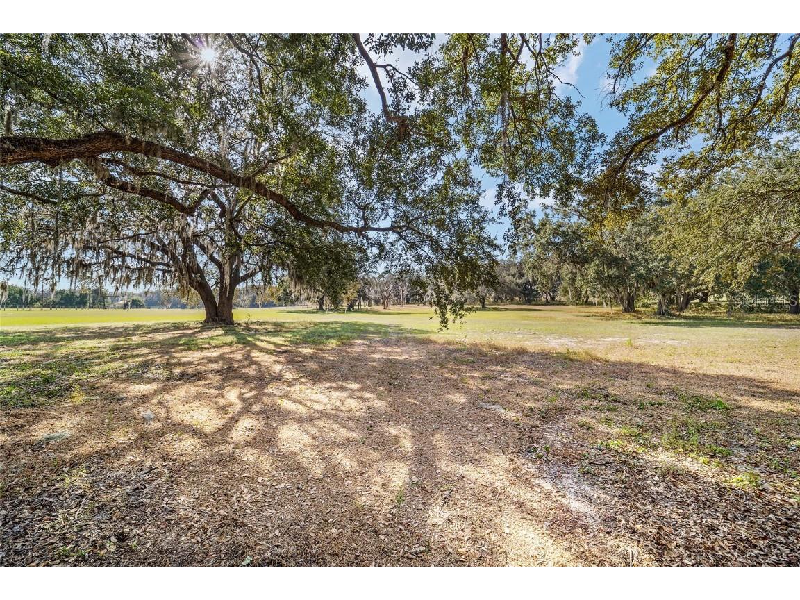 36203 Micro Racetrack Road Fruitland Park FL 34731 OM713402 image47