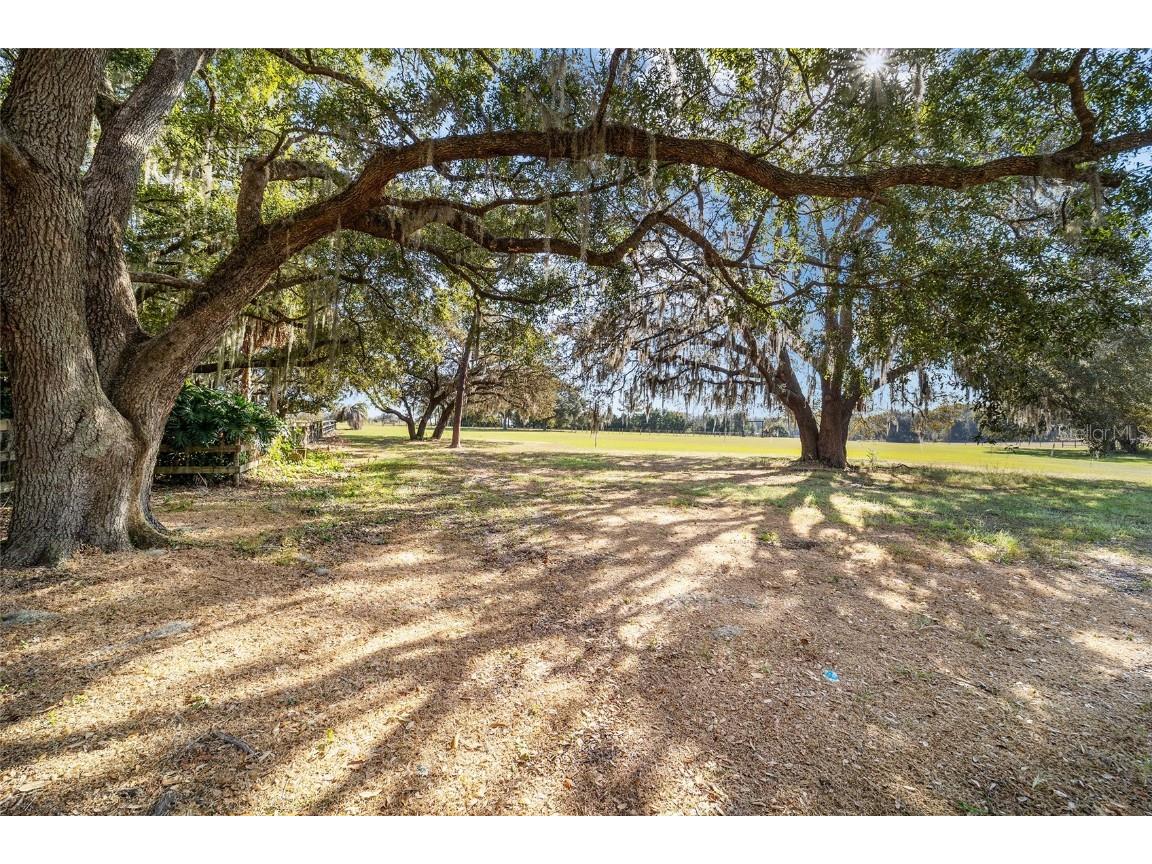 36203 Micro Racetrack Road Fruitland Park FL 34731 OM713402 image50