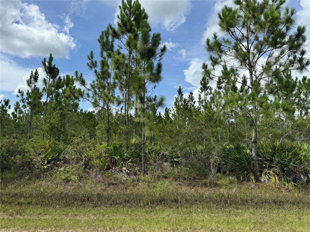 3621 Calendula Drive Indian Lake Estates FL 33855 - LAKE WEOHYAKAPKA T3543731 image1