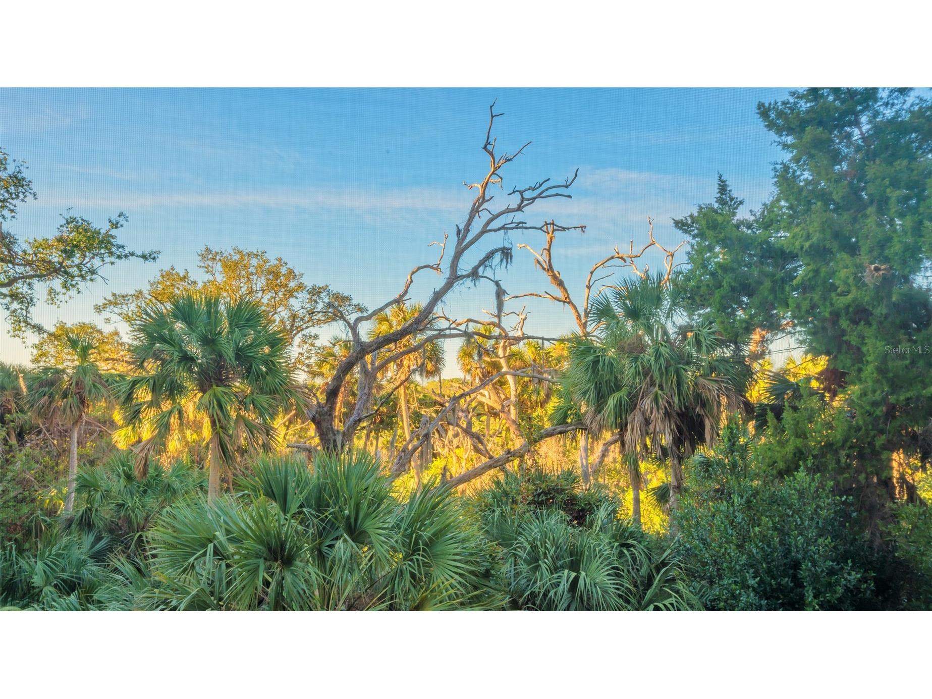3621 N Point Road #301 Osprey FL 34229 A4681290 image14