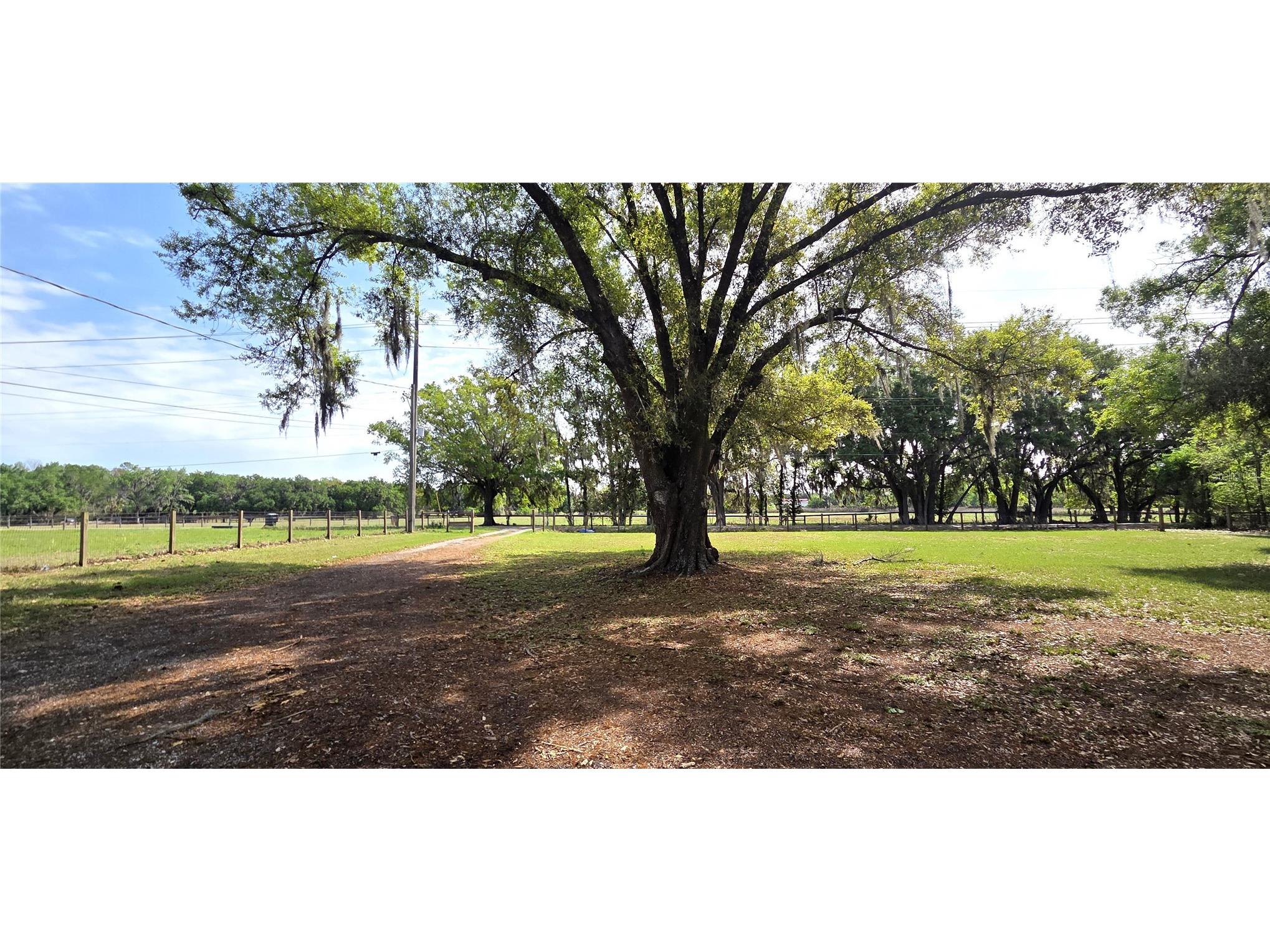 3621 Smith Ryals Road Plant City FL 33567 L4961163 image5