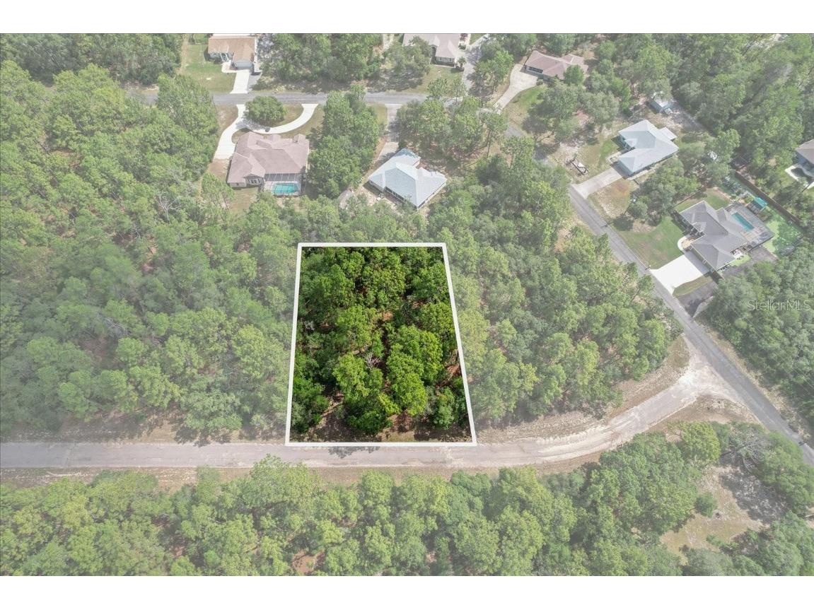 3621 W Norwick Place Citrus Springs FL 34433 OM693707 image1