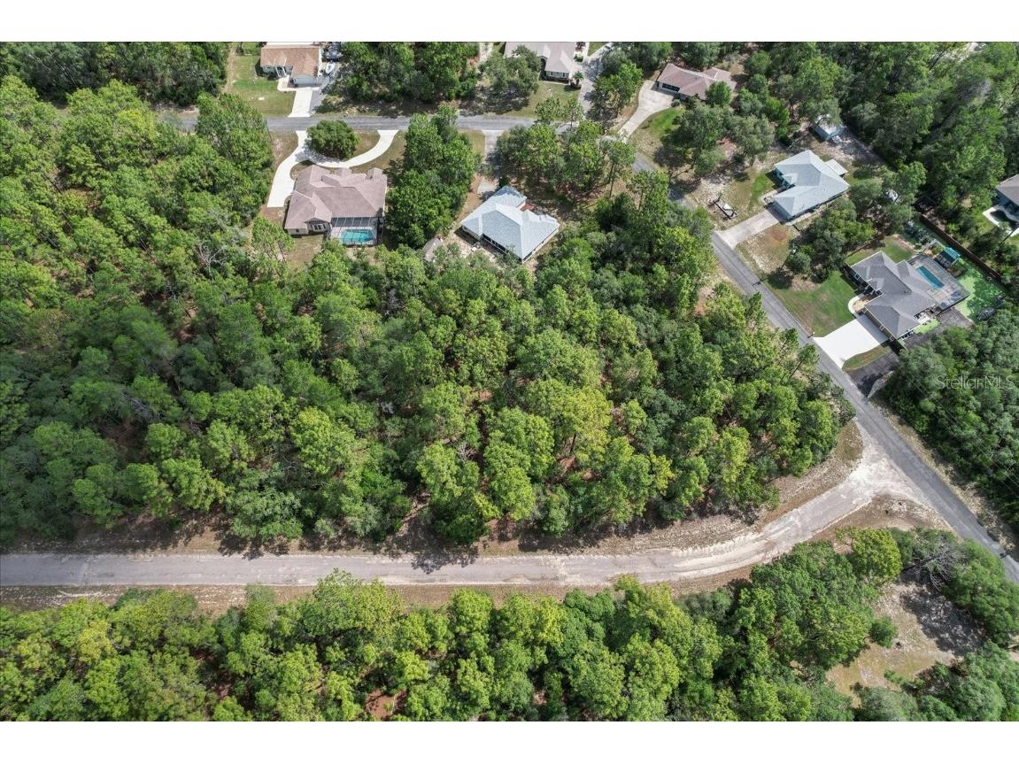 3621 W Norwick Place Citrus Springs FL 34433 OM693707 image10