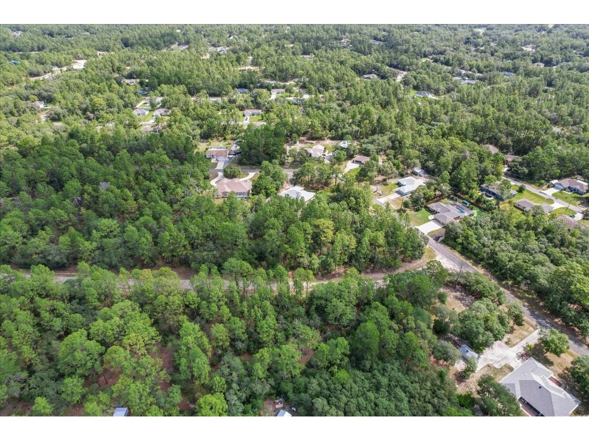 3621 W Norwick Place Citrus Springs FL 34433 OM693707 image13