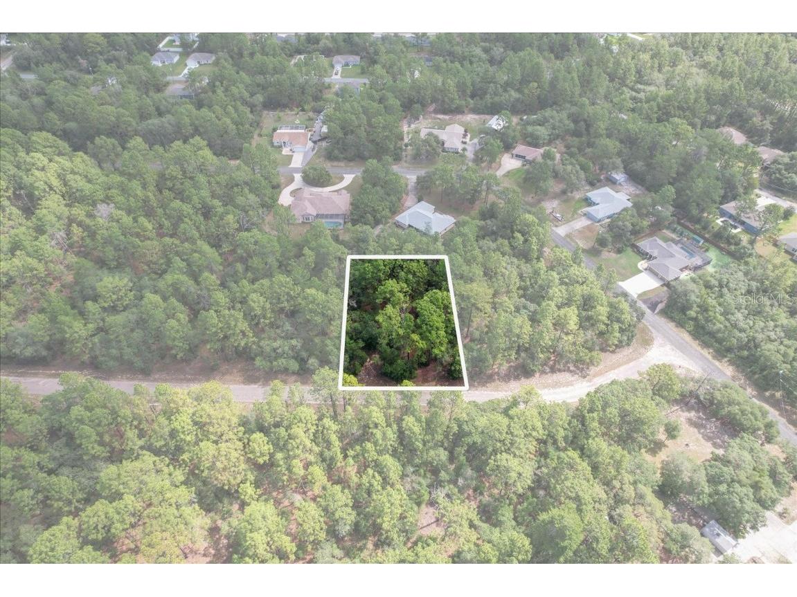 3621 W Norwick Place Citrus Springs FL 34433 OM693707 image2