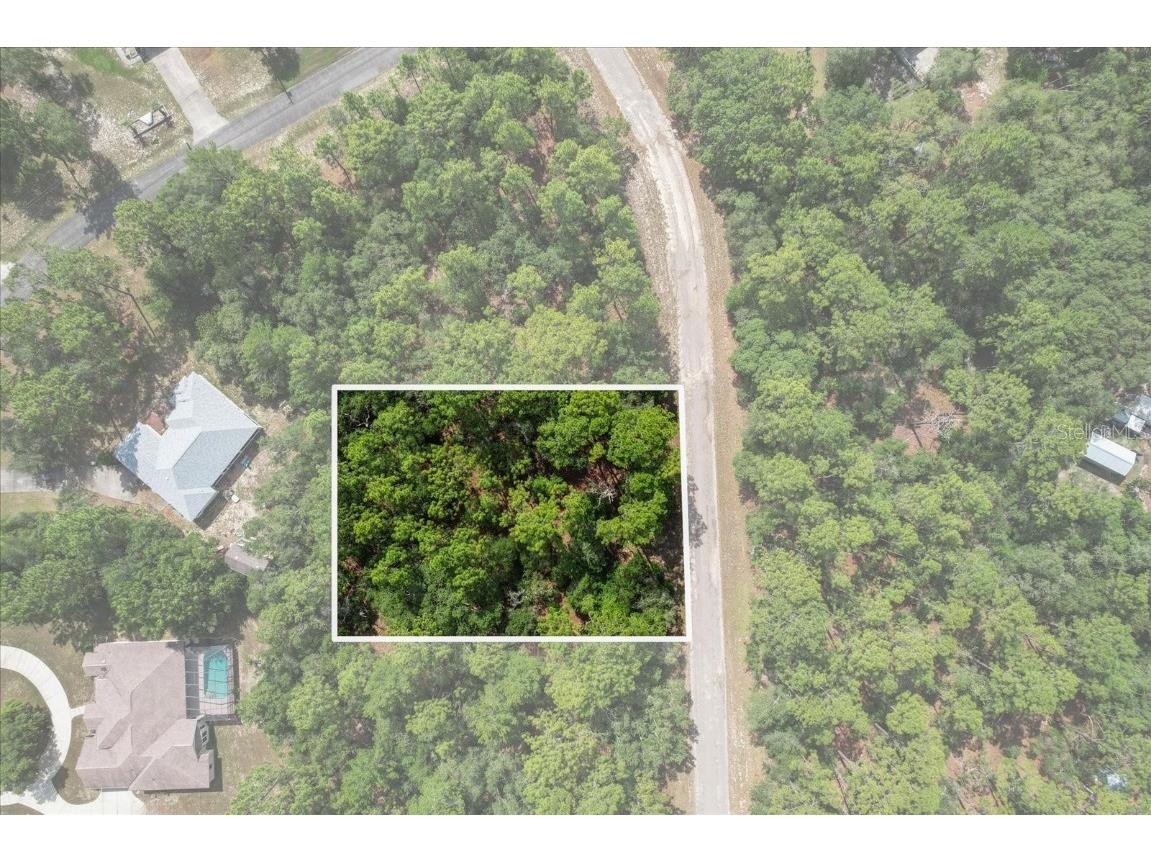 3621 W Norwick Place Citrus Springs FL 34433 OM693707 image3