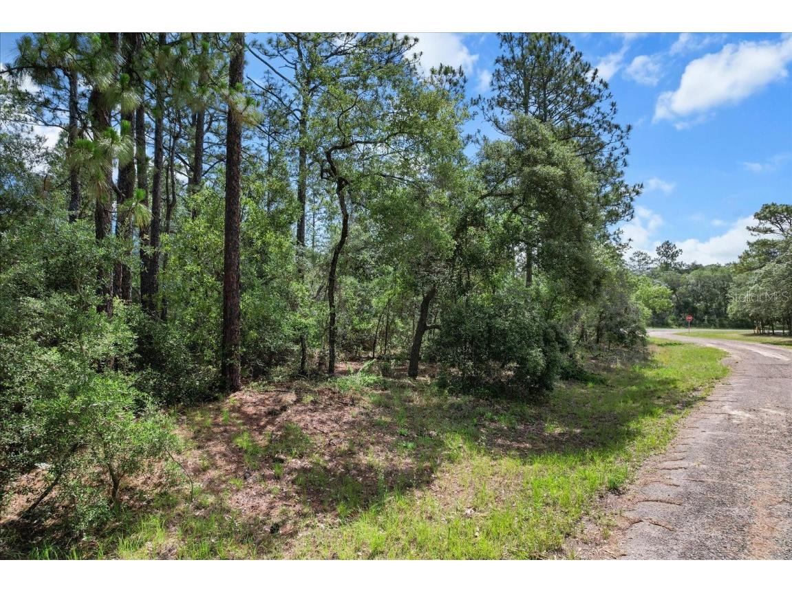 3621 W Norwick Place Citrus Springs FL 34433 OM693707 image4